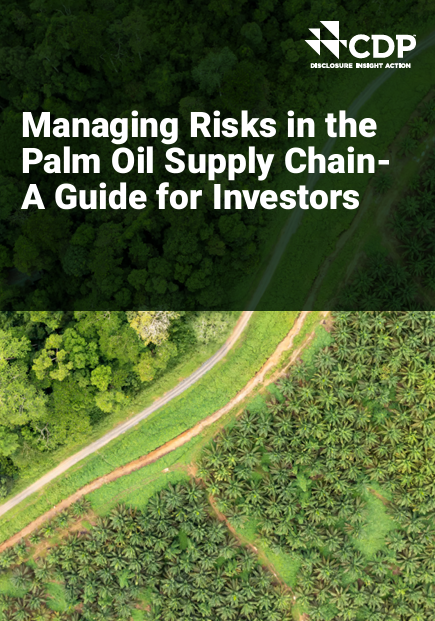 Managing Risks in the Palm Oil Supply Chain – A Guide for Investors