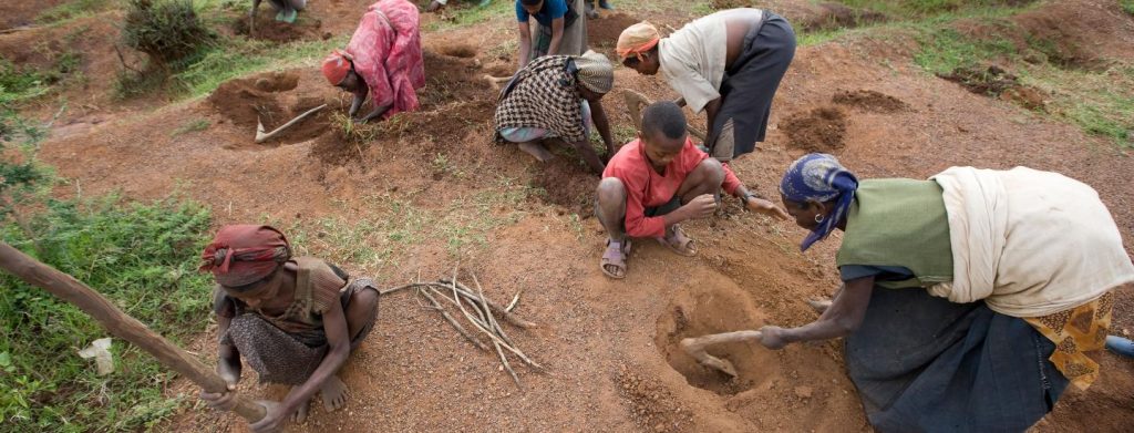 People in southern Ethiopia taking part in a tree-planting initiative