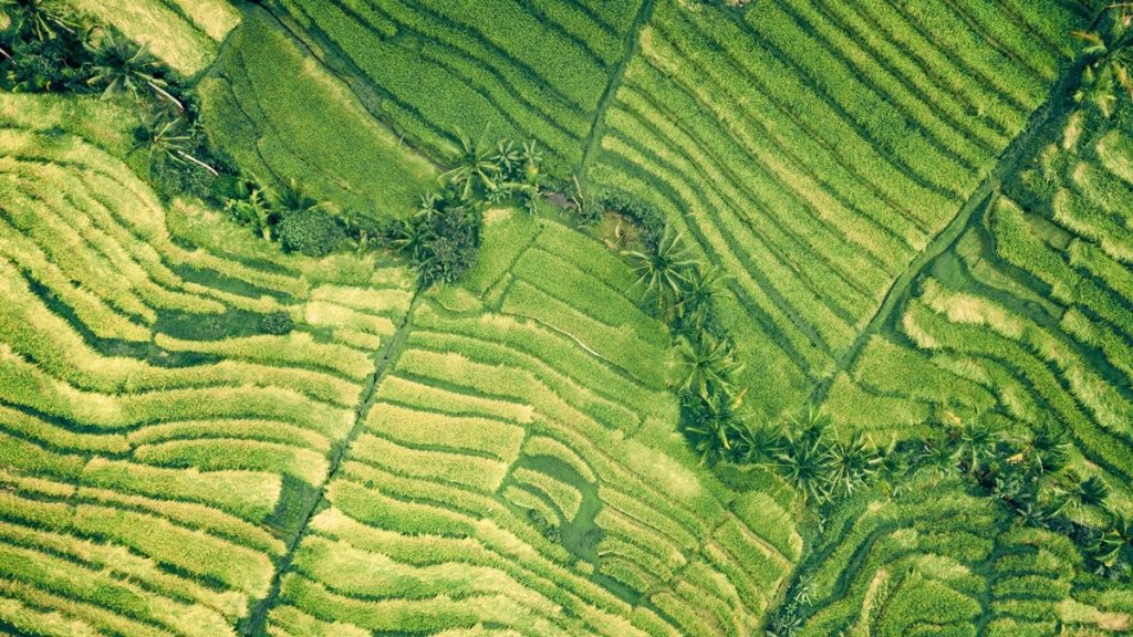 Aerial view of landscape