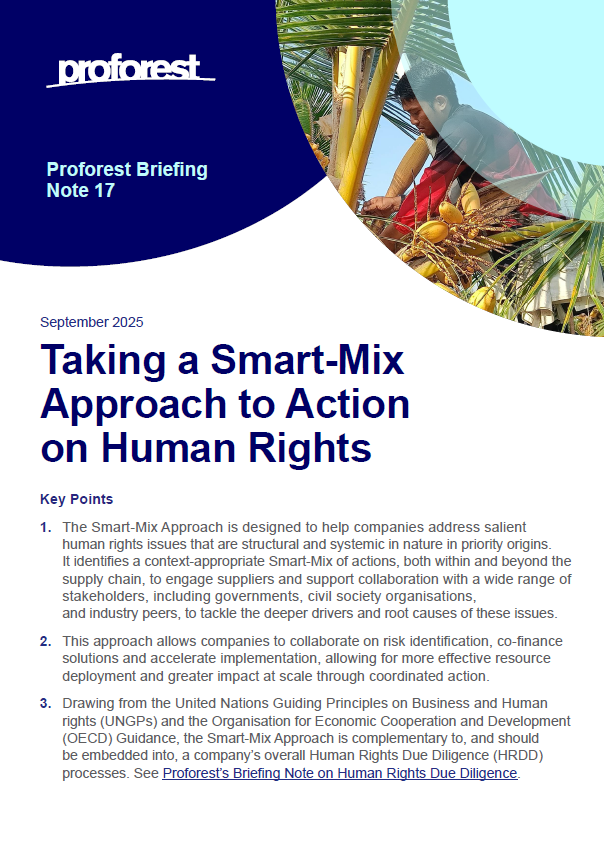 Taking a Smart-Mix Approach to Action on Human Rights