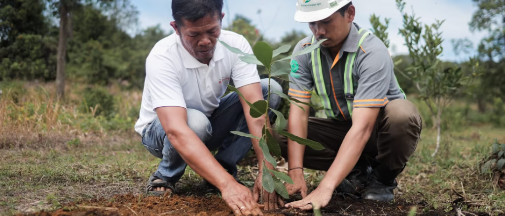 Two men plant a tree together