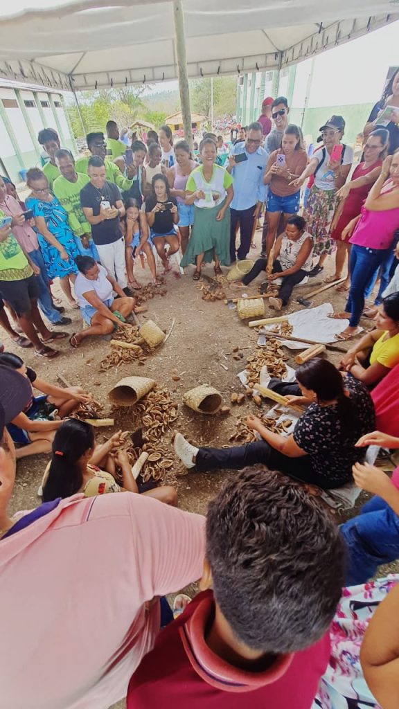 1st Festival of the Coconut Breakers of the Canto do Ferreira Village values the culture, community organization and the babassu chain in the region of Chapadinha – MA