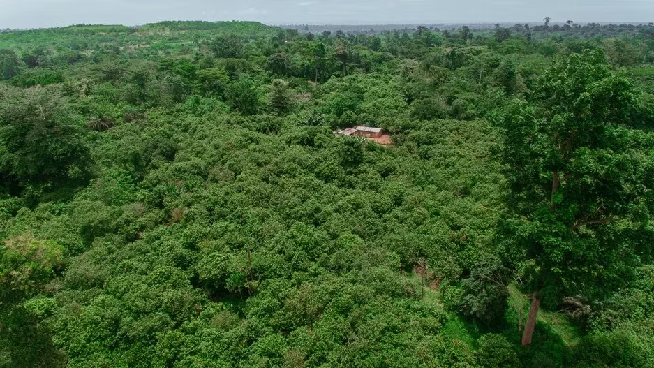 Ghana's Asunafo-Asutifi landscape. Credit: Mondelez International.
