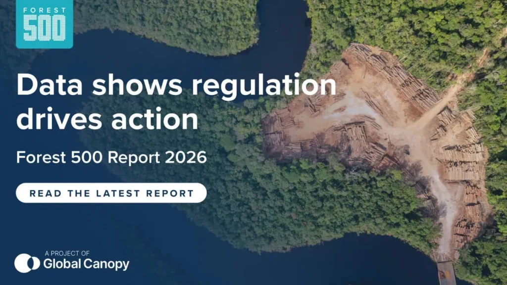 Forest 500 Report 2026 article