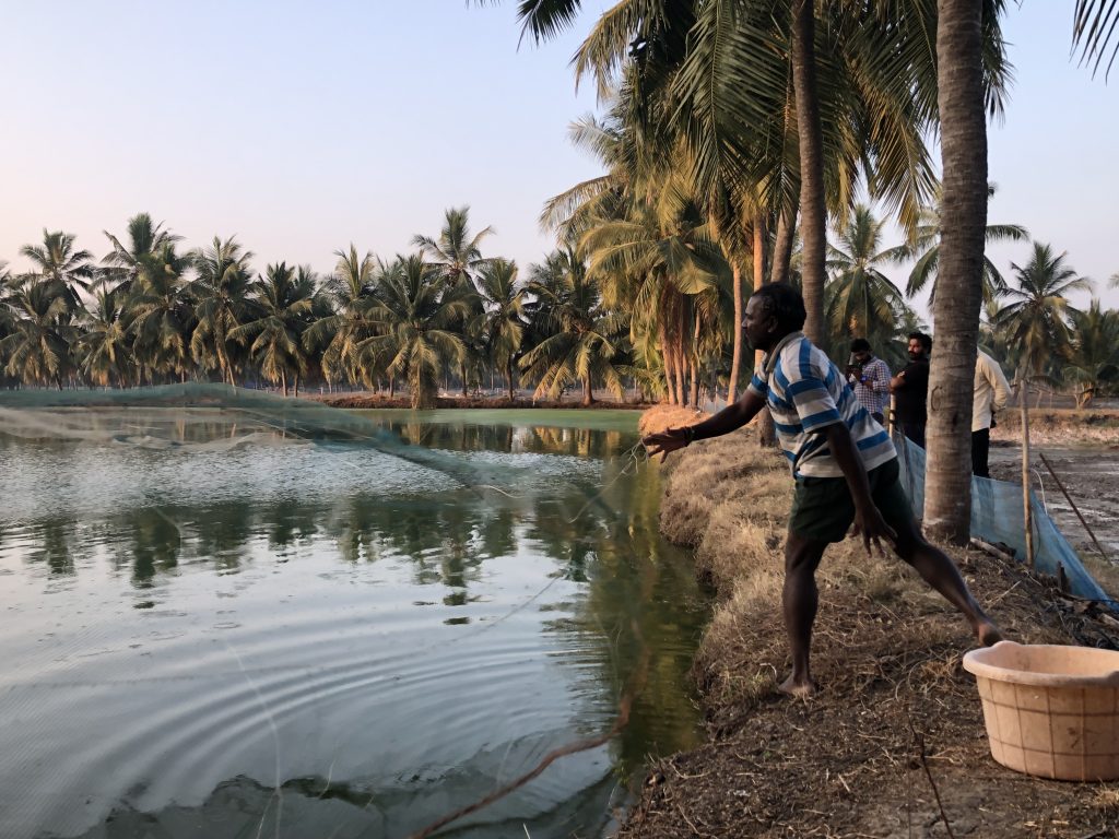 ASC Gossip Gills Podcast – The Power of Jurisdictional Approaches in Sustainable Seafood Farming