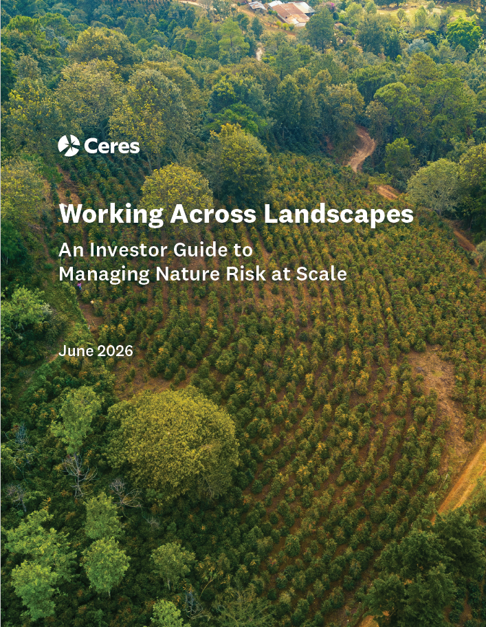 Working Across Landscapes: An Investor Guide to Managing Nature Risk at Scale